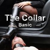 The Collar - Basic