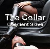 The Collar 2 - Obedient Slave