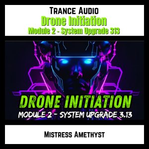 Drone Initiation – Module 2: System Upgrade 3.13