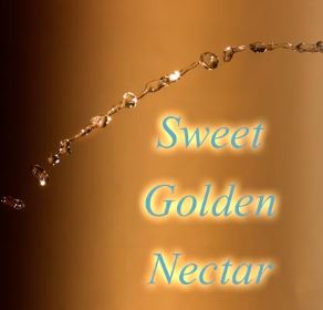Sweet Golden Nectar