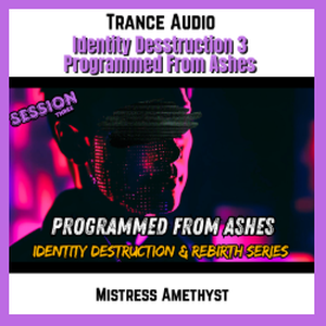 Identity Destruction 3 - Programmed From Ashes