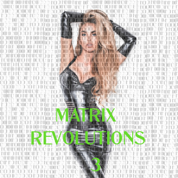 The Matrix:Revolutions