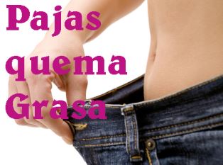 Pajas quema Grasa