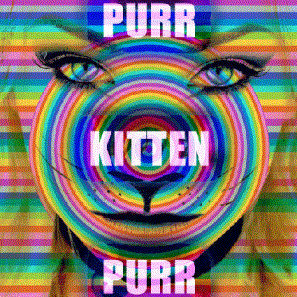 Purr Kitten Purr