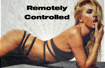 Remotely Controlled : with Teamviewer