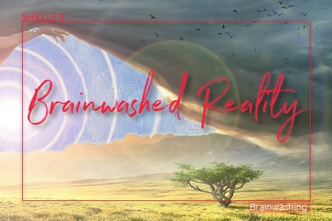 Brainwashed Reality