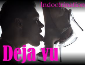 Deja vu--The Indoctrination