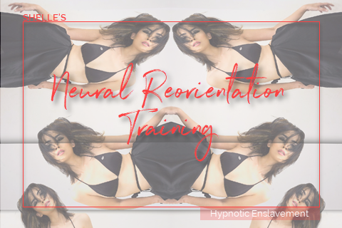 Neural Reorientation