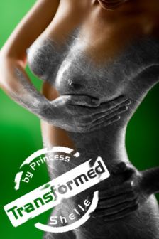 Tranceformation - The beginning - Statue