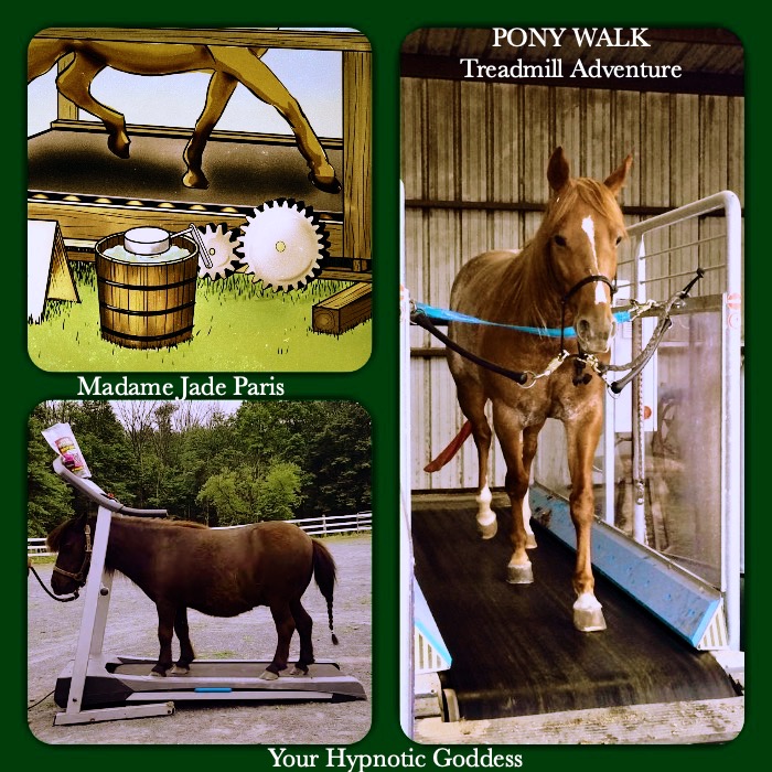 Pony Walk - Treadmill adventure