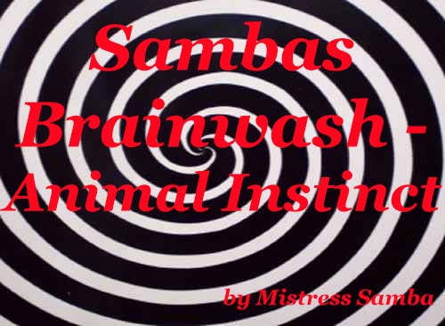 Sambas Brainwash Animal Instinct