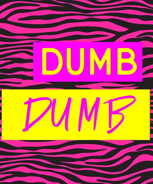 Dumb Dumb 