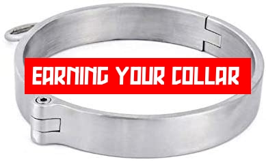 Earning your collar