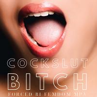 Mindfucked Cockslut Bitch MP3