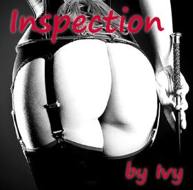 Inspection