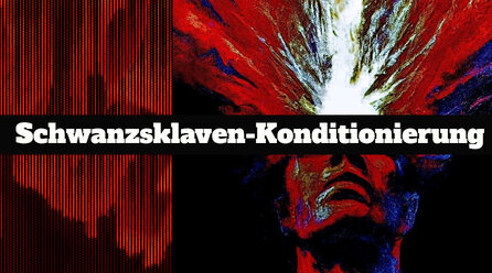 Schwanzsklaven-Konditionierung