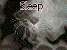 Sleep With Princess Angel 