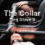 The Collar - Dog Slave 3 - Gagged in your Cage