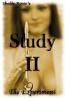 The Experiment--Study II
