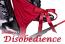 A Lesson In "Disobedience" A Lesson In "Disobedience"