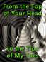 From the Top of Your Head to the Tips of My Toes From the Top of Your Head to the Tips of My Toes