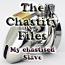 The Chastity Files - My Chastised Slave