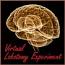 Virtual Lobotomy Experiment
