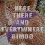 Here There and Everywhere BIMBO