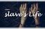 My slave's Life