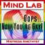 Mind Lab - Oops, Now You're Gay!