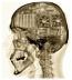 Retrain Your Brain Retrain Your Brain