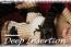 Subliminized - Deep Insertion Subliminized - Deep Insertion