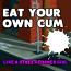 Eat your own cum like a street corner girl Today 