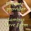 Dreamprovider - Sambas slave farm