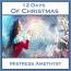 12 Days Of Christmas 12 Days Of Christmas