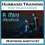 Husband Training - For Your Career