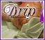 Dark Goddess Loop - Drip .mp3 Dark Goddess Loop - Drip .mp3