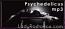 Psychedelicus.mp3