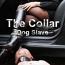 The Collar - Dog Slave