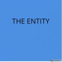 THE PARANORMAL ENTITY