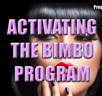 Activating the Bimbo Program Activating the Bimbo Program