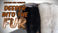 Deep into the Furs