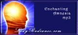 Enchanting Amnesia.mp3