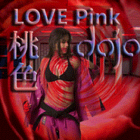 LOVE Pink Dojo