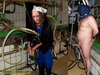 Humans are called The Edwards