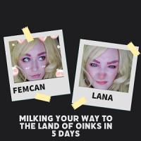 Milking your way to the land of oinks in 5 days Milking your way to the land of oinks in 5 days