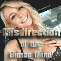 Misdirection of the Bimbo Mind