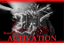 Brain Chip - Activation
