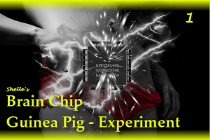 Brain Chip Upgrade-Guinea Pig 1 Brain Chip Upgrade-Guinea Pig 1