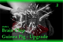 Brain Chip Upgrade-Guinea Pig 3 Brain Chip Upgrade-Guinea Pig 3
